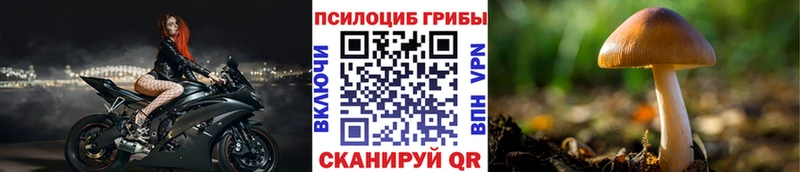 Купить  Липецк  Галлюциногенные грибы Magic Shrooms 